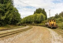 service activation for numbers