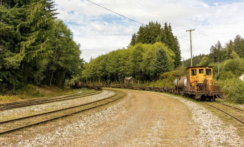 service activation for numbers