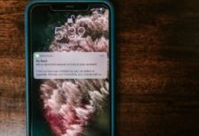 safety alerts for number