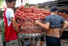 smart market authority lift