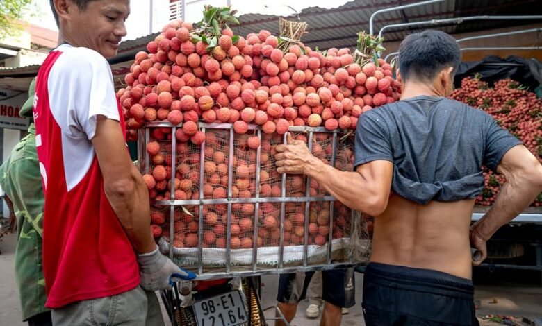 smart market authority lift