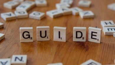 beginner guide 3533164120