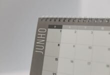 dikica kvanec s daily schedule