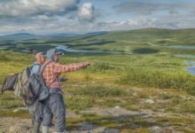 the ultimate guide s expert tips